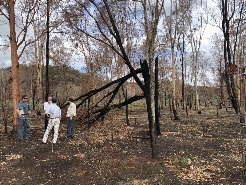 Men standing in burnt paddock