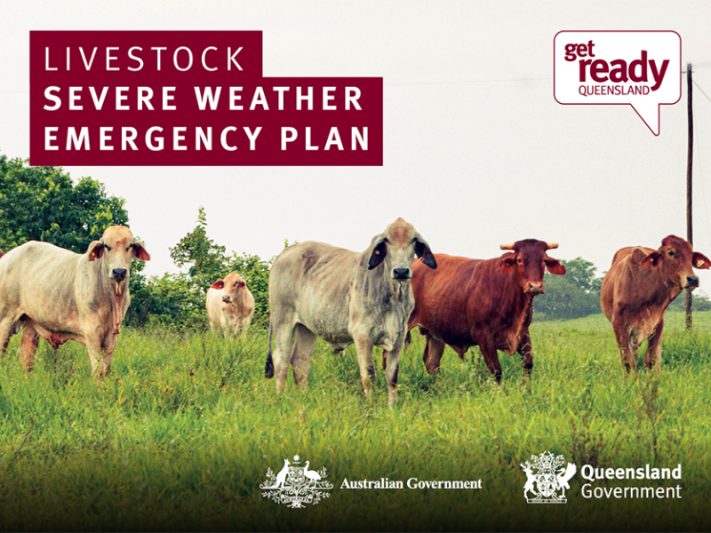 Livestock plan graphic - GRQ